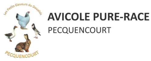 Logo Avicole Pure Race Pecquencourt