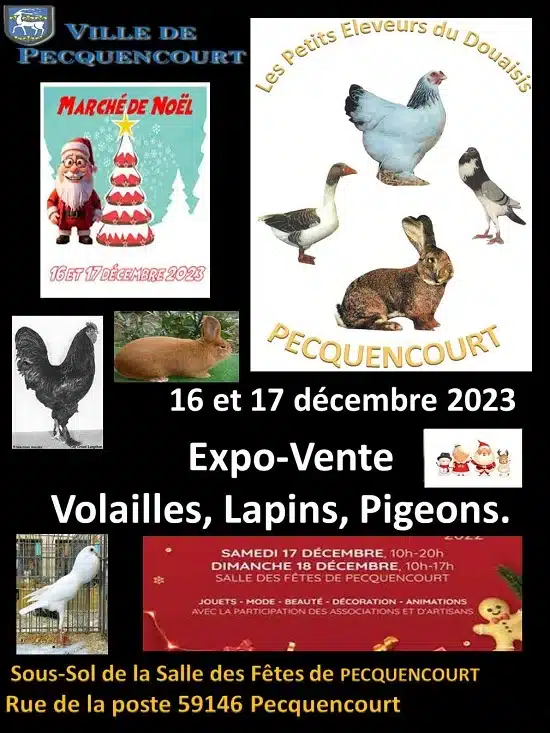 Affiche expo-vente Noël 2023