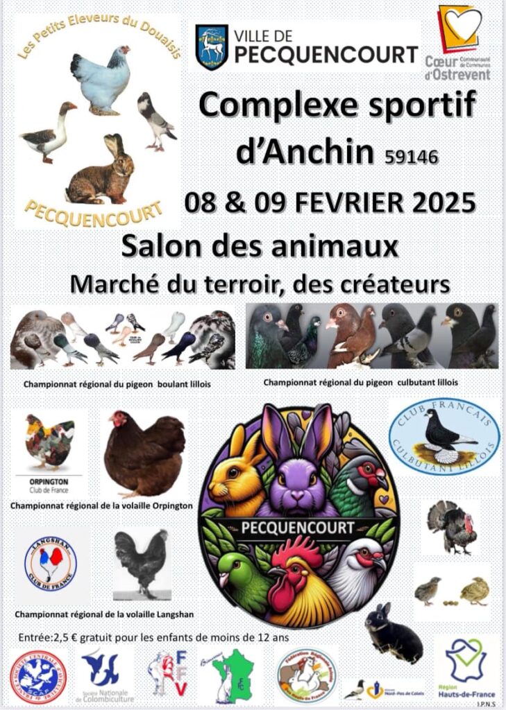 Affiche exposition avicole septembre 2025 (2)