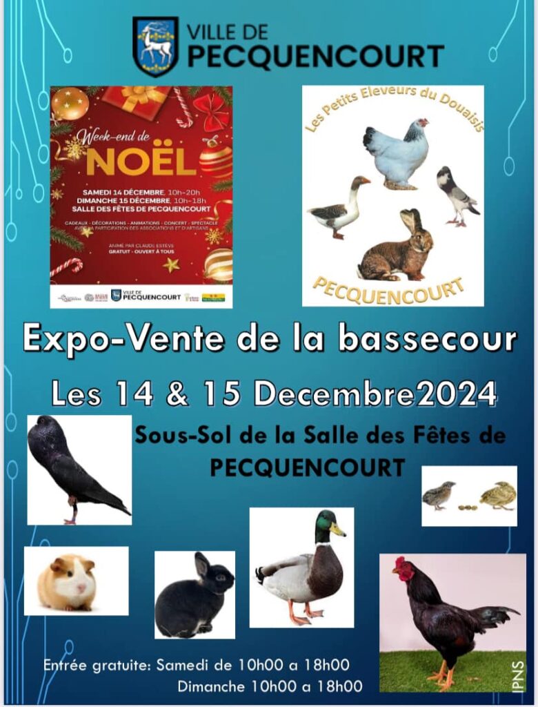 Affiche expo-vente Noël 2024